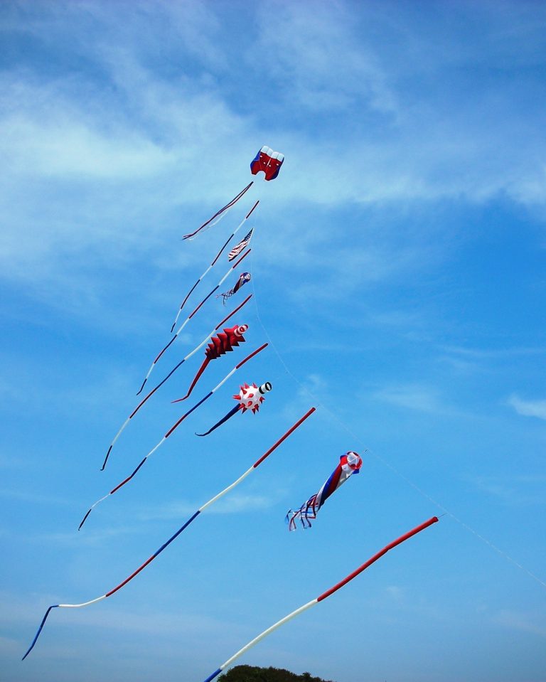 In Praise Of Kites And Those Who Fly Them Well (to my daughter)